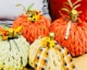 Hand Knit Chunky Pumpkins